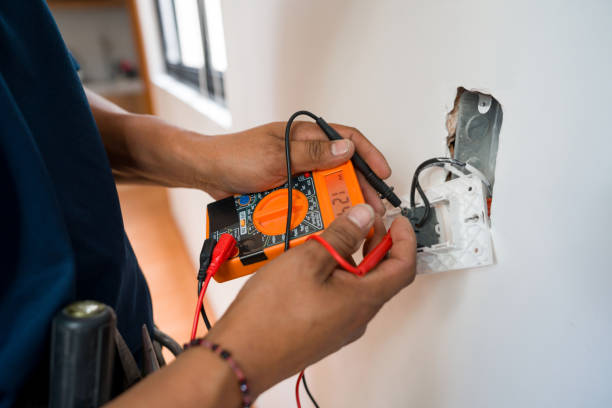 Best Electric Panel Repair  in Mundelein, IL